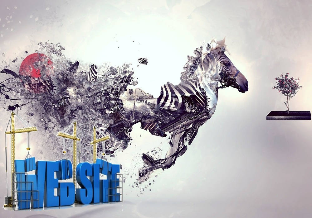 Website Design & Maintenance