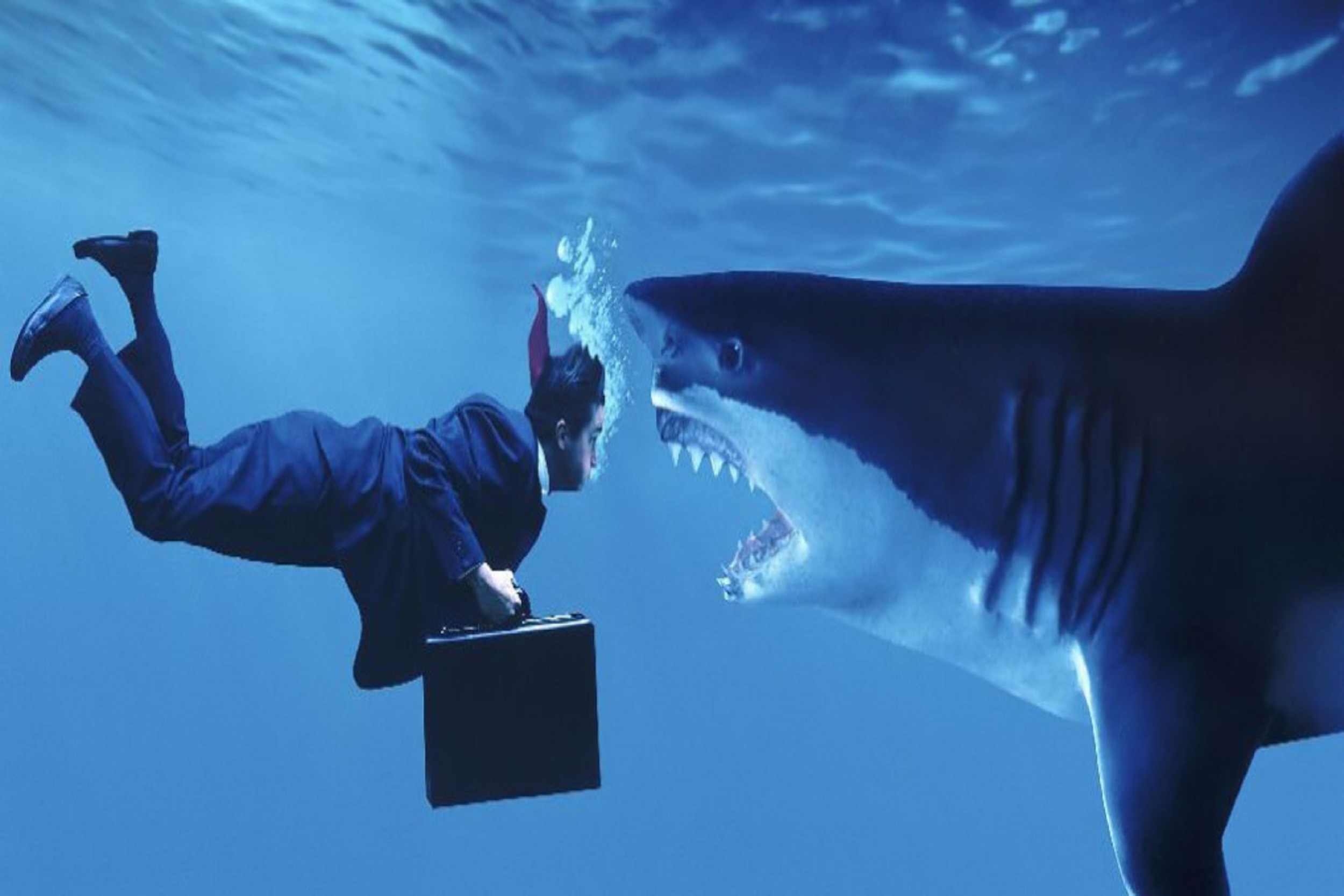 Marketing For Business